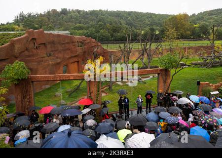 Praga, Repubblica Ceca. 28th Set, 2022. Apertura della Riserva Dja - la nuova casa gorilla dello Zoo di Praga, il 28 settembre 2022, a Praga, Repubblica Ceca. Al centro della foto parla direttore dello zoo Miroslav Bobek. Credit: Ondrej Deml/CTK Photo/Alamy Live News Foto Stock