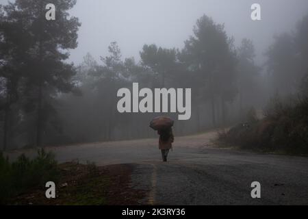 Donna che fa una passeggiata in campagna in una nuvolosa giornata invernale Foto Stock
