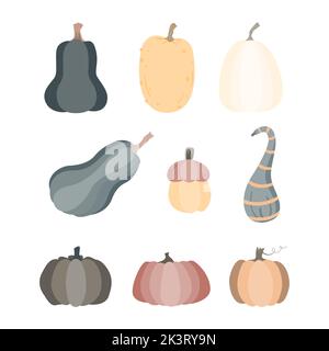 Set autunnale di zucca disegnato a mano. Elementi di ringraziamento e di Halloween. Illustrazione Vettoriale