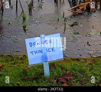 Cartello di ghiaccio sottile sul laghetto invernale freddo, a Grappenhall Heys giardino murato, Warrington, Cheshire, Inghilterra, Regno Unito Foto Stock