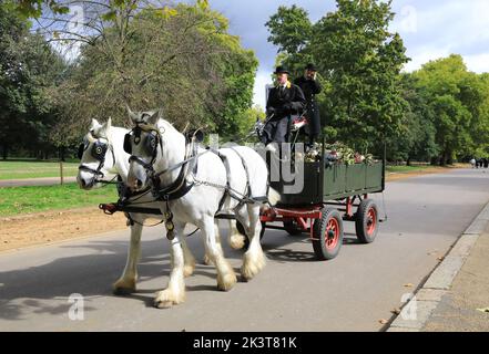 Londra, Regno Unito. 28th settembre 2022. I tributi floreali rimasti per la Regina sono stati cancellati da Green Park e posti in carri guidati da 2 cavalli Shire. Sono stati portati attraverso Hyde Park alla Leaf Pen a Kensington Gardens, dove saranno pubblicati. Credit: Monica Wells/Alamy Live News Foto Stock