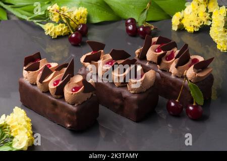 Delicata pan di Spagna al cioccolato combinato con gel di ciliegia dolce, crema al cioccolato e ciliegia imbevuta di rum Foto Stock