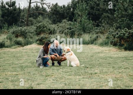 Vista laterale di coppia uomo e donna che si allenano adorabile Labrador Retriever attivo giocando nel parco Foto Stock