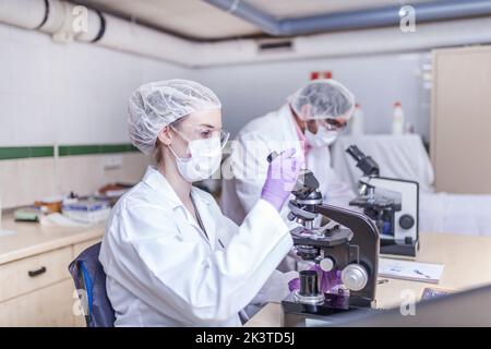 uomo e donna scienziati che guardano attraverso il microscopio in laboratorio Foto Stock
