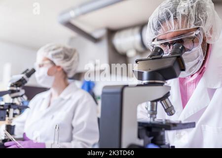 uomo e donna scienziati che guardano attraverso il microscopio in laboratorio Foto Stock