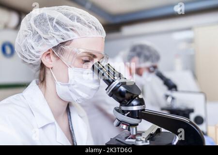 donne e uomini scienziati che guardano attraverso il microscopio in laboratorio Foto Stock