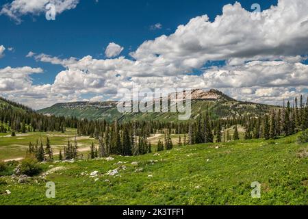Black Mountain in dist, Hightop sulla destra, vista da Skyline Drive, attraverso Twelvemile Flat, Wasatch Plateau, Manti la SAL National Forest, Utah, USA Foto Stock