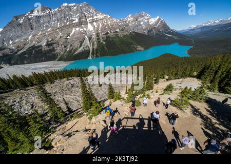 Banff, Alberta, Canada - 12 luglio 2022: I turisti scattano foto al lago Peyto in una giornata estiva Foto Stock