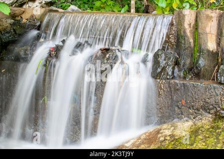 una piccola cascata, acqua che scorre dolcemente in un ruscello, nella bella cascata forestใ Foto Stock