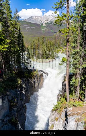 Cascate Sunwapta Falls nel Jasper National Park Foto Stock