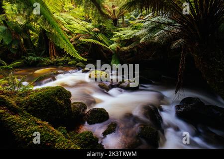 Cascate di St Columba in Tasmania Australia Foto Stock