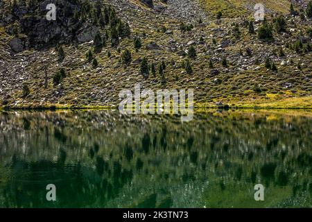 Lago calmo con superficie d'acqua liscia che riflette il pendio di montagna coperto di erba verde e alberi in estate nei Pirenei Foto Stock