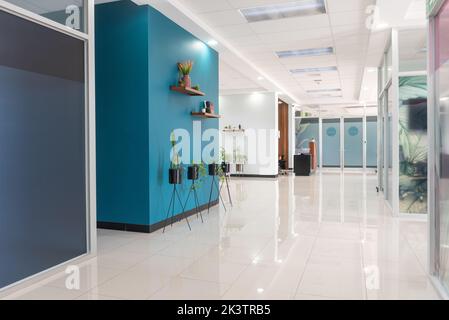 Interni di corridoio spazioso e luminoso, decorati con piante in vaso e ripiani in un ambiente di lavoro contemporaneo Foto Stock