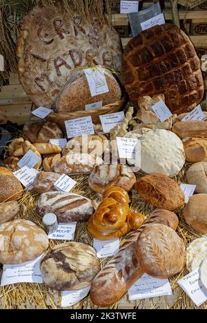 Torino, Italia - 23 settembre 2022: Diversi tipi di pane provenienti da tutta Europa, esposti durante la fiera "Terra Madre - Salone del gusto". Foto Stock