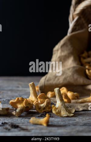 Primo piano di funghi finferli d'arancio selvatico in terreno sdraiato su una tavola grigia con tessuto Foto Stock