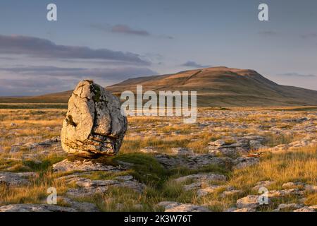 Un grande masso che si erge su un marciapiede calcareo, sulle pendici di Whernside, una delle famose tre vette del parco nazionale Yorkshire Dales, Regno Unito Foto Stock