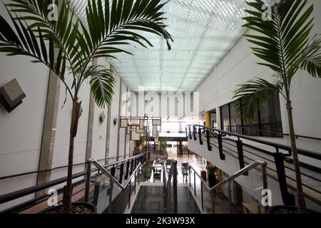 Sala d'ingresso. Scala d'ingresso del resort di lusso in Brasile con corrimano a soffitto e vegetazione naturale tropicale. Panoramica. Grandangolo, Brasile, Sud Foto Stock