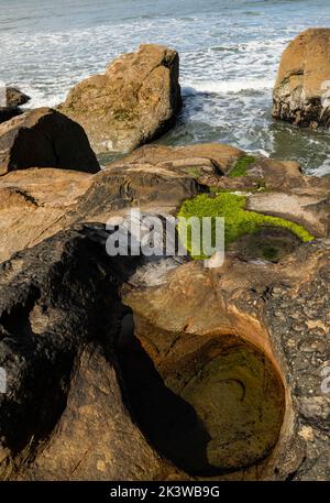 WA22080-00...WASHINGTON - promontorio che divide Kalaloch Beach e Beach 3 sulla costa del Pacifico nel Parco Nazionale Olimpico. Foto Stock