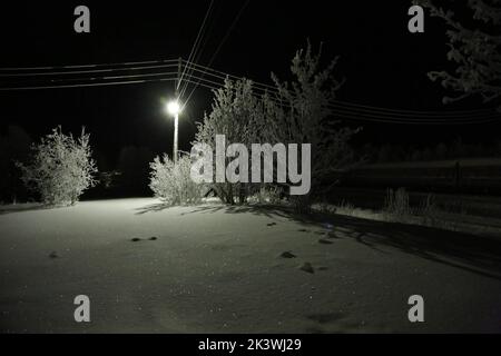 Alberi coperti di ghiaccio vicino alla stazione ferroviaria di Pyayve sul servizio ferroviario passeggeri più a nord del mondo tra Murmansk e Nikel nella notte polare Foto Stock