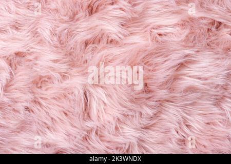 Texture pelliccia rosa vista dall'alto. Sfondo di pelle di pecora rosa. Motivo fur. Texture di pelliccia rosa scoscese. Tessuto di lana. Primo piano di pelliccia di pecora Foto Stock
