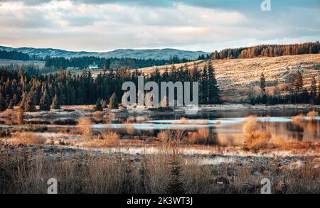 Galloway Forest National Park nel giorno Foto Stock