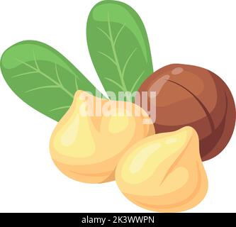 Icona cartoni animati di noci di macadamia. Cibo proteico sano isolato su sfondo bianco Illustrazione Vettoriale