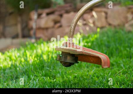 treccia elettrica su fondo erboso Foto Stock