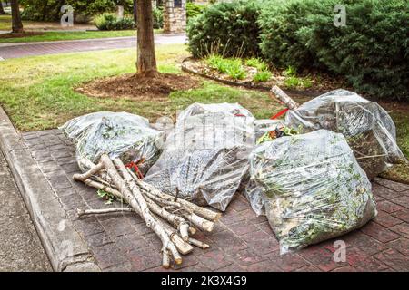 Sacchetti di plastica trasparente per la pulizia del cortile impilati sul marciapiede per il prelievo insieme a bastoncini tagliati legati insieme Foto Stock