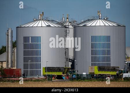 Impianto di biogas RWE Bergheim-Paffendorf, qui coltivazioni da agricoltura regionale, piante intere, erba e mais insilato, segale verde, barbabietola da zucchero e lucerna, ar Foto Stock