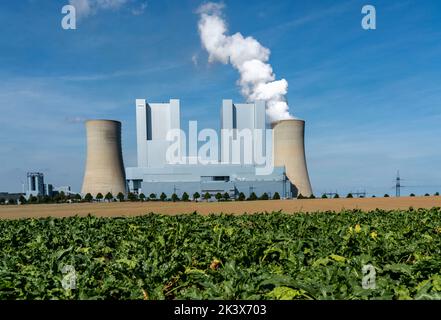 La centrale elettrica a lignite di RWE, nei pressi di Grevenbroich, la più grande centrale elettrica a carbone della Germania, la seconda più grande in Europa, l'unità F-G, NRW, Germania Foto Stock
