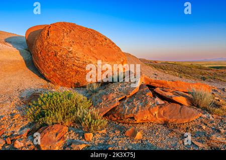 Un grande arenaria sferica conv=cremazione spezzata in lastre nella Red Rock Coulee Natural Area Foto Stock