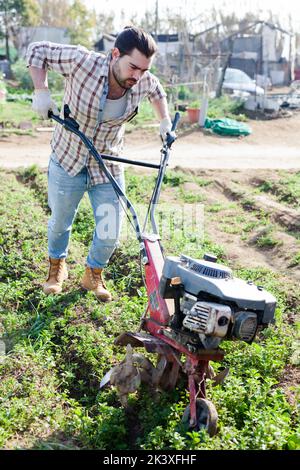 Giardiniere utilizzando coltivatore motorizzato nel suo giardino Foto Stock