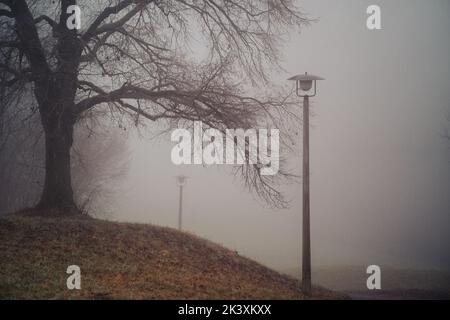 la mattina di misty sta coprendo l'orizzonte e soltanto alcuni alberi autunnali sono visibili nella nebbia pesante. Foto Stock