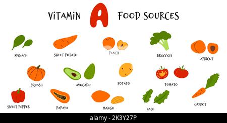 Raccolta di frutti vettoriali a mano e verdure ricche di beta-carotene. Fonti alimentari infografica della vitamina A per vegan in stile cartoon piatto Illustrazione Vettoriale