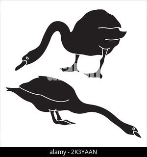 Set vettoriale di silhouette di Swan Illustrazione isolata su sfondo bianco Illustrazione Vettoriale
