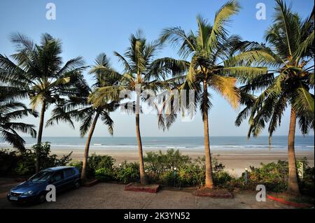 Paesaggio marino con alberi di cocco a Karde distretto Ratnagiri stato Maharashtra India Foto Stock