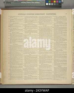 Buffalo Business Directory. Cont. Cartografica. Atlanti, Mappe. 1866. Lionel Pincus e la Principessa Firyal Map Division. Contea di Erie (N.Y.) Foto Stock