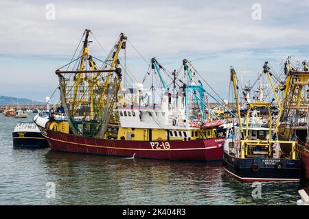 Pescherecci a strascico per la pesca commerciale nel porto esterno. Brixham, Devon, Inghilterra, Regno Unito, Gran Bretagna Foto Stock