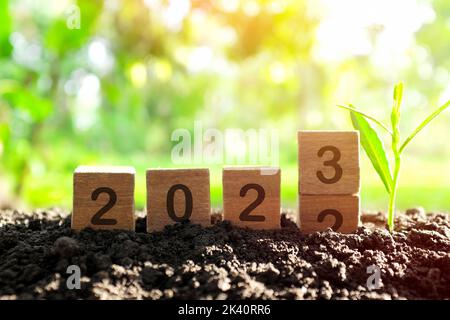 Mano che cambia anno 2022 a 2023 in blocchi di legno cubetti con pianta crescente all'alba. Anno nuovo 2023, Hope, Hello e Arrivederci Concept. Foto Stock