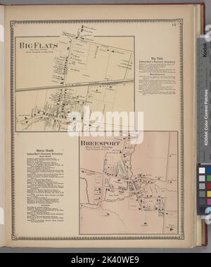 Big Flats Village; Big Flats Subscriber's Business Directory; Horse Heads Subscriber's Business Directory; Breesport Village Cartographic. Atlanti, Mappe. 1869. Lionel Pincus e la Principessa Firyal Map Division. Chemung County (N.Y.), Real Property , New York (state) , Chemung County, Business Enterprises , New York (state) , Chemung County Foto Stock