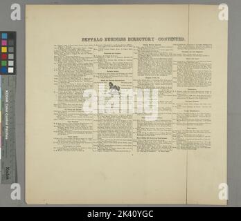 Buffalo Business Directory. Cont. Cartografica. Atlanti, Mappe. 1866. Lionel Pincus e la Principessa Firyal Map Division. Contea di Erie (N.Y.) Foto Stock