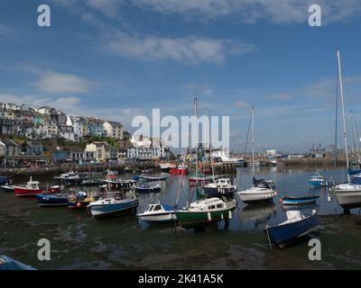 Vista sul porto di Brixham fino all'attraente cittadina di pescatori della Riviera Inglese di Brixham Devon Inghilterra Regno Unito, con proprietà color pastello e il mercato del pesce Foto Stock