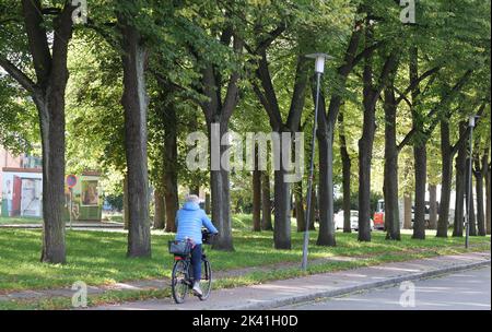 Pasewalk, Germania. 29th Set, 2022. Una donna guida lungo il parco tra Fischerstraße e Haußmannstraße. Un'alleanza di azione vorrebbe dare al parco il nome di 'Parco della Pace'. Finora è stato usato il nome 'Leninhain', ma questo vale solo per il monumento commemorativo sovietico nel parco. Credit: Bernd Wüstneck/dpa/Alamy Live News Foto Stock