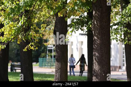 Pasewalk, Germania. 29th Set, 2022. Il parco tra Fischerstraße e Haußmannstraße. Un'alleanza di azione vorrebbe dare al parco il nome di 'Parco della Pace'. Finora è stato usato il nome 'Leninhain', ma questo vale solo per il monumento commemorativo sovietico nel parco. Credit: Bernd Wüstneck/dpa/Alamy Live News Foto Stock