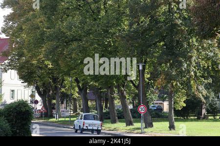 Pasewalk, Germania. 29th Set, 2022. Il parco tra Fischerstraße e Haußmannstraße. Un'alleanza di azione vorrebbe dare al parco il nome di 'Parco della Pace'. Finora è stato usato il nome 'Leninhain', ma questo vale solo per il monumento commemorativo sovietico nel parco. Credit: Bernd Wüstneck/dpa/Alamy Live News Foto Stock