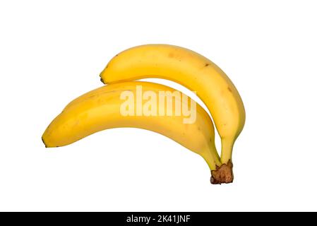 Due banane Foto Stock