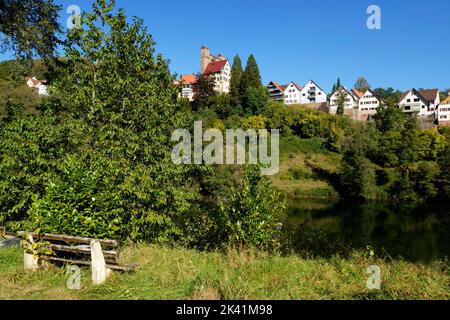 Berneck (parte di Altensteig) nella Foresta Nera settentrionale: Vista della città con il castello sopra il lago Köllbach, distretto di Calw, Baden-Württemberg, Germania Foto Stock