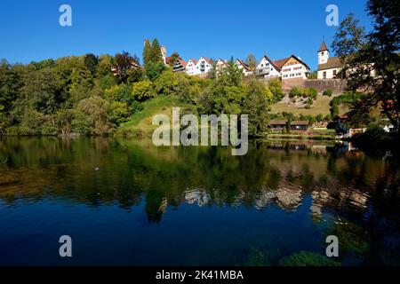 Berneck (parte di Altensteig) nella Foresta Nera settentrionale: Vista della città sopra il lago Köllbach, distretto di Calw, Baden-Württemberg, Germania Foto Stock