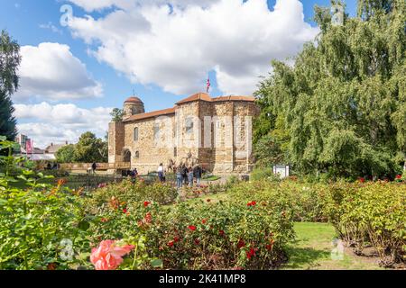 11th ° secolo Castello di Colchester, Upper Castle Park, Colchester, Essex, Inghilterra, Regno Unito Foto Stock