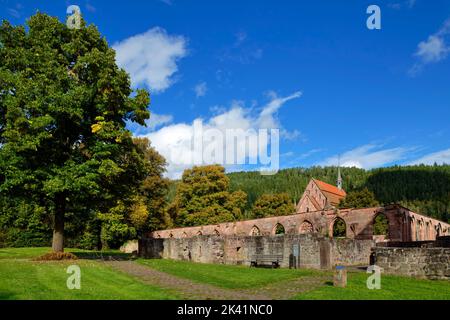 Abbazia di Hirsau (ex abbazia benedettina): Rovine del chiostro e cappella della signora , vicino a Calw nella Foresta Nera settentrionale, Baden-Württemberg, Germania Foto Stock